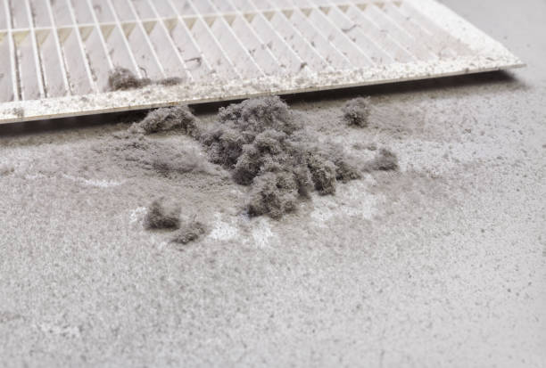 Best Duct Cleaning for Homes  in Clear Lake, SD